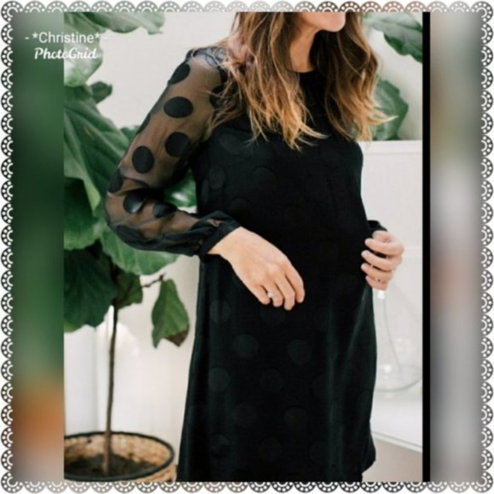 *Boden Sheer Sleeve Spot Dress*